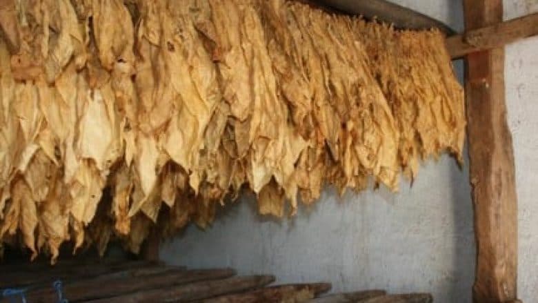 Rrëfimi për kohën kur Dunhilli prodhohej në Gjilan…