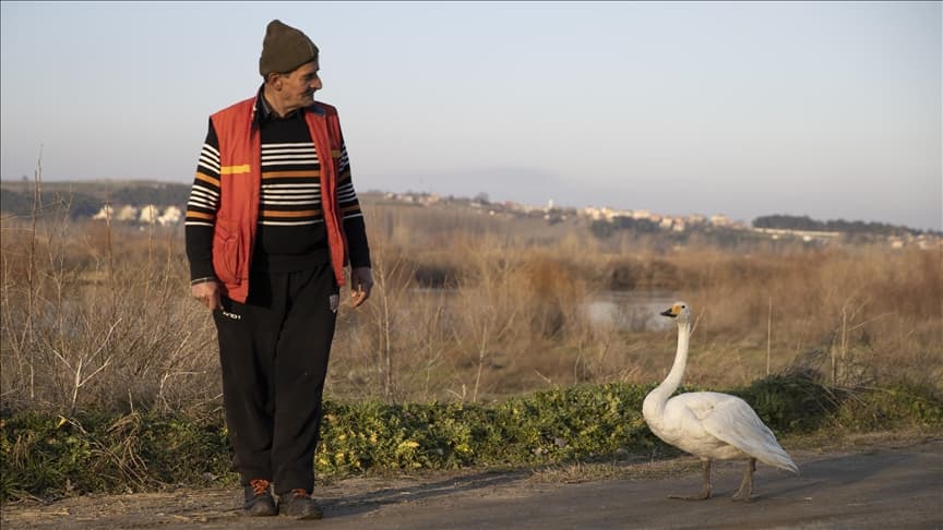 Miqësia e veçantë 37 vjeçare mes ish-postierit dhe mjelmës që i habiti të gjithë