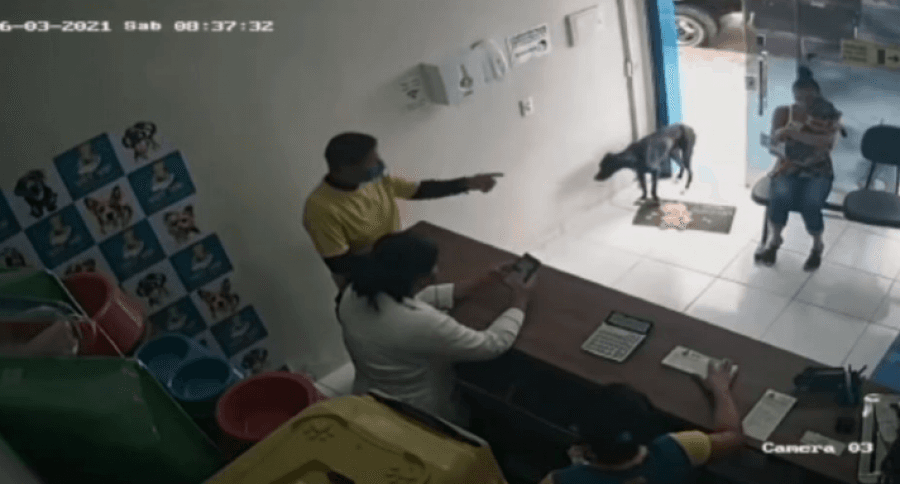 E pabesueshme/ Qeni gjen rrugën për tek veterineri