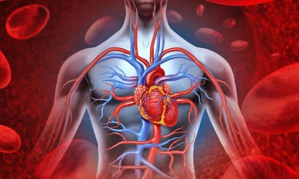 Rreziku nga qarkullimi i dobët i gjakut – Si ta përmirësoni në mënyrë natyrale