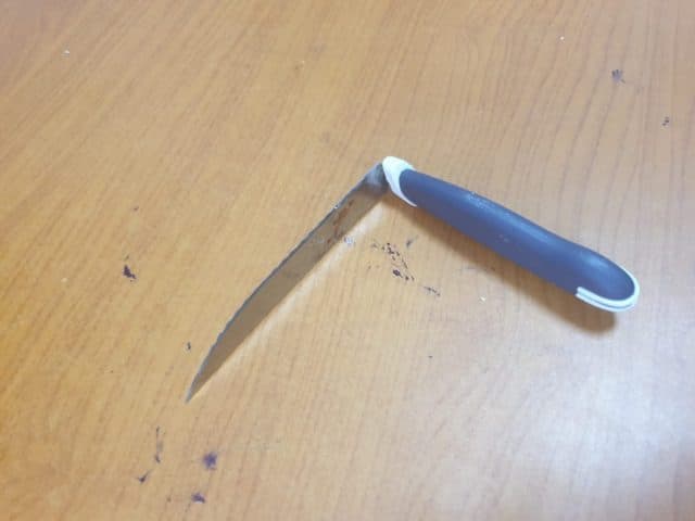 Sulm me thikë në një xhami në Tiranë, 5 të plagosur, ja kush është autori