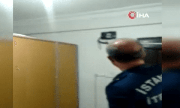 Gjarpri i gjatë një metër gjendet në orën e rrymës të një shtëpie, dalin pamjet (VIDEO)