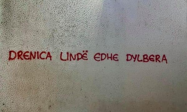 “Drenica lind edhe dylbera”, Drenasi mbushet me grafite
