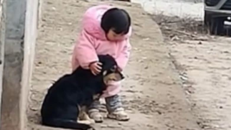 Vogëlushja mbulon veshët e qenit pas ndezjes së fishekzjarrëve në Kinë (VIDEO)