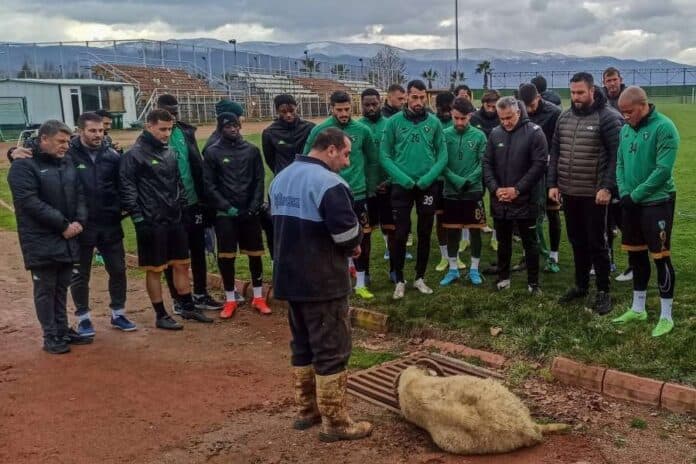 Klubi i futbollit ther kurban për të mos rënë nga liga