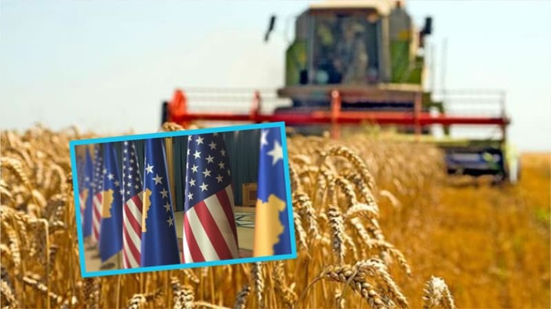 Serbia ka ndaluar shitjen e grurit, Kosova tash mund të blejë në Amerikë