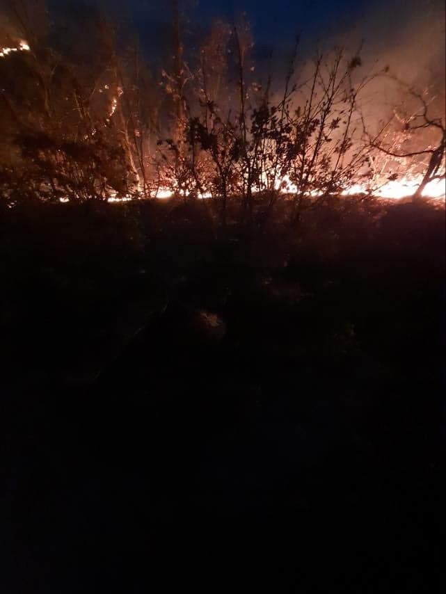 Lokalizohet edhe një ndezje zjarri në malet e fshatit Gradicë dhe Godanc (FOTO)