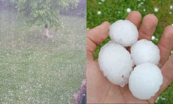 Featured image for Breshër i madh në Kroaci, i copëton xhamat e veturave dhe i shkatërron të mbjellat