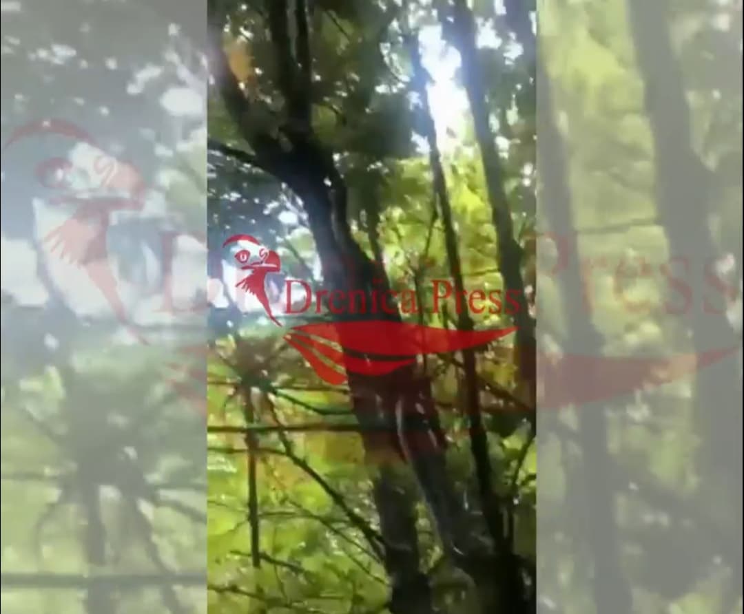 Pamje e frikshme:  Gjendet bolla gjashtë metra në Abri të Drenicës (VIDEO)