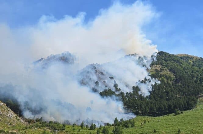 Zjarri rrezikon Parkun Kombëtar të Llogarasë