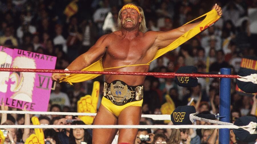Vdes Hulk Hogan