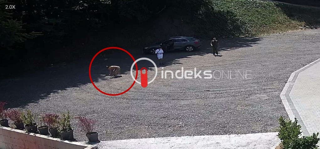 Një grua vjedh një portofol në Ferizaj, pronari kërkon t’i kthehet