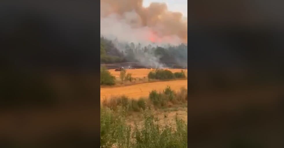 Banorët e fshatit Trudë në Prishtinë në luftë me zjarret