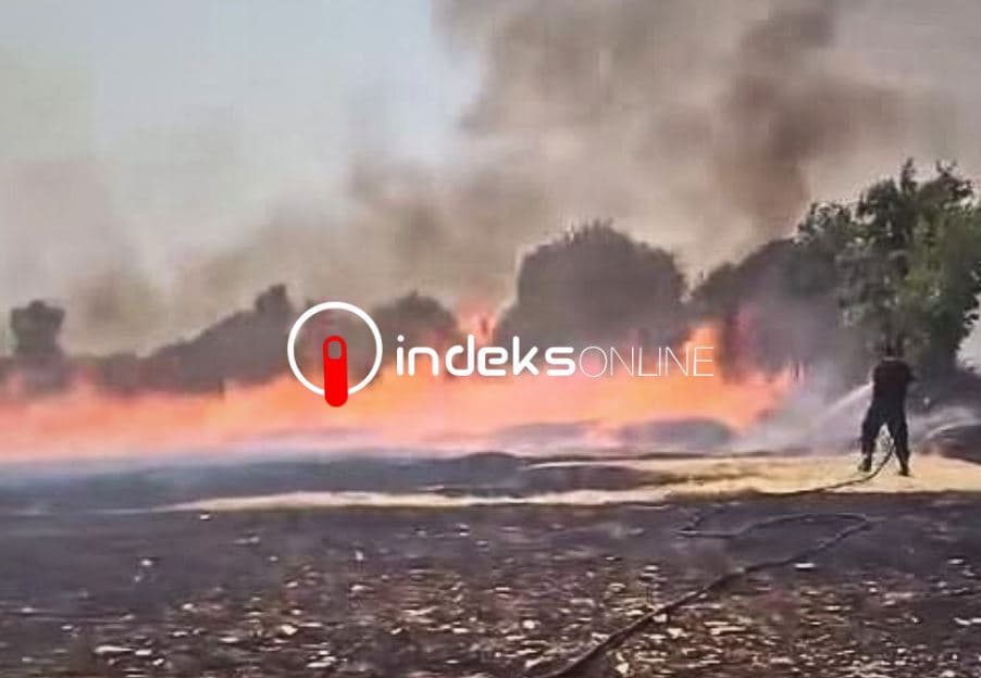 80 vatra zjarri të raportuara brenda gjashtë orëve të fundit, situata më kritike në Klinë