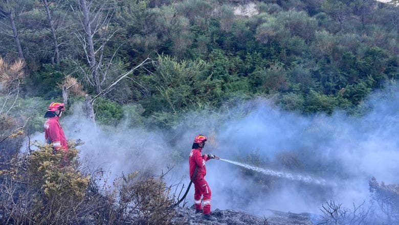 Zjarret/ Reshjet e shiut neutralizojnë flakët në Parkun Kombëtar të Prespës, edhe në Vlorë situata paraqitet e qetë