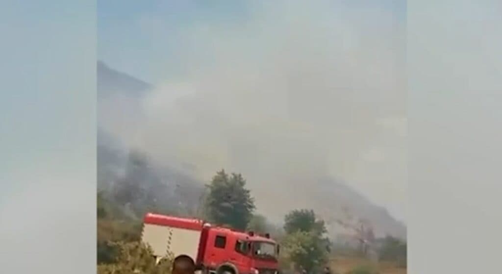Zjarri dogji 8 hektarë bimësi, arrestohet 25-vjeçari në Konispol
