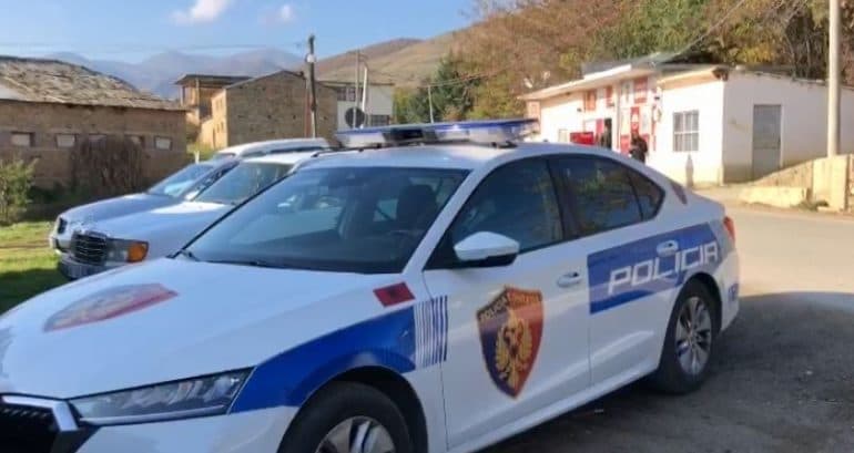 Vodhi portofolin në Ksamil, hajduti hungarez kapet teksa tekton të largohet nga Shqipëria