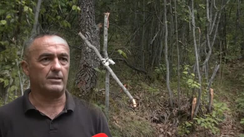 Tre serbë u vranë nga kushëriri i tyre në Busi të Prishtinës, banori rrëfen për tentativën serbe për të manipuluar të vërtetën