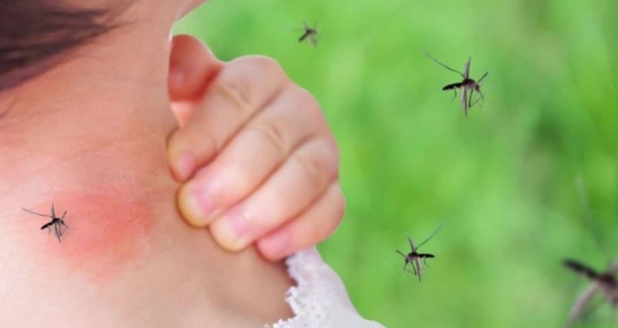 Itali: 10 viktima nga virusi i Nilit