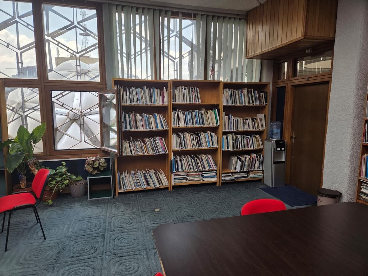 Organizimi i koleksionit të artit bashkëkohor në Bibliotekën e Arteve Bashkëkohore