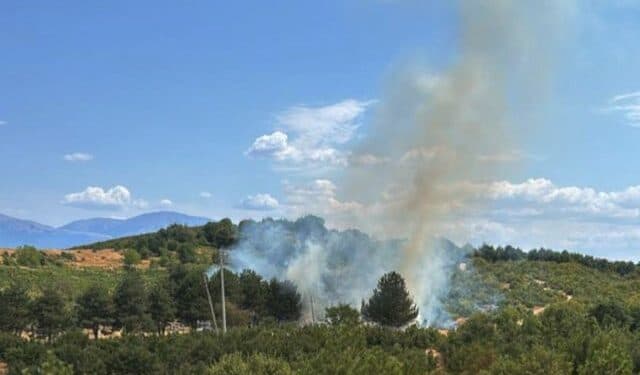 Vatër zjarri në fshatin Lin të Pogradecit, flakët afër banesave