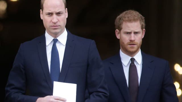 Paralajmërimi i pavdekshëm i Dianas për Harryn dhe Williamin