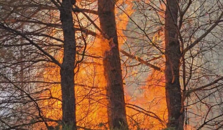 Riaktivizohet zjarri në Lapardha