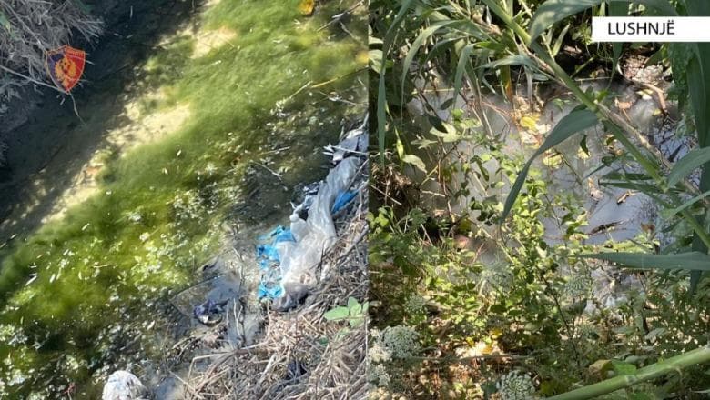 Lushnjë/ Ndoti ambientin dhe kanalin e fshatit, nën akuzë pronari i baxhos!