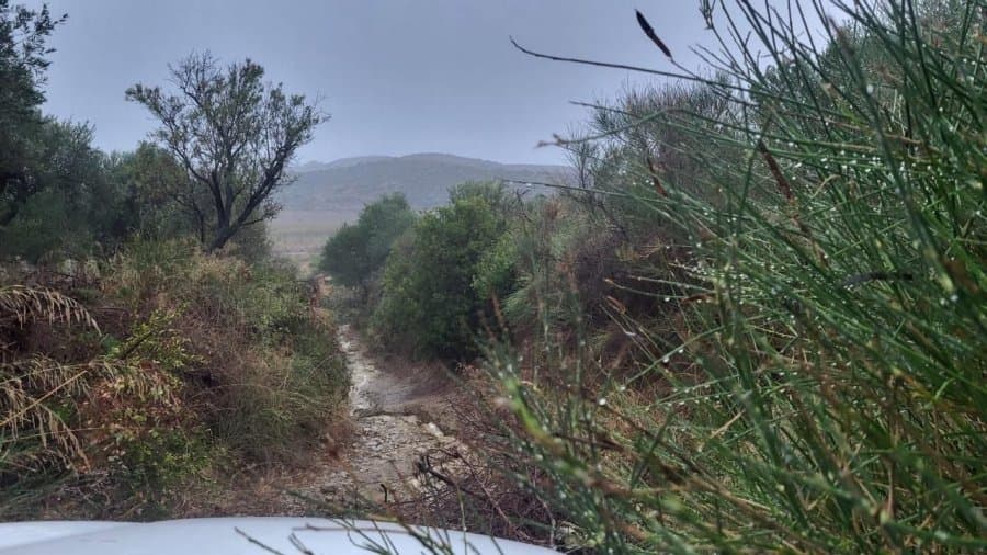 Çifti ukrahinas bllokohet në kodrat e Zvërnecit, era e fortë rrëzon pemën dhe i bllokon