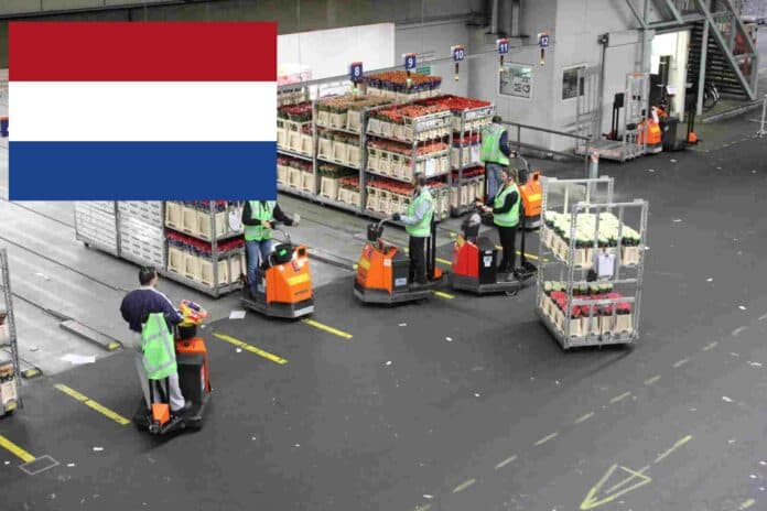 Holanda kalon në javën 4-ditore të punës,një model i ri suksesi për Evropën