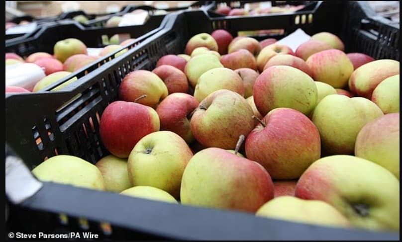 Pesë “superfrutat” e supermarketeve që mjekët thonë se duhet t’i konsumoni çdo javë për të forcuar shëndetin