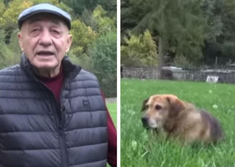 I vdiq pronari, qeni i këngëtarit të famshëm nuk pranon të hajë as të pijë