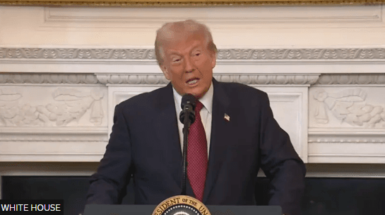 Trump:  Rezultatet e zgjedhjeve jo të mira për republikanët, nëse demokratët vijnë në pushtet do të ishte situatë e keqe
