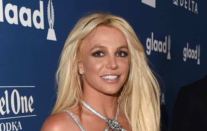 Pas disa kohësh mungesë, Britney Spears rikthehet në rrjete sociale
