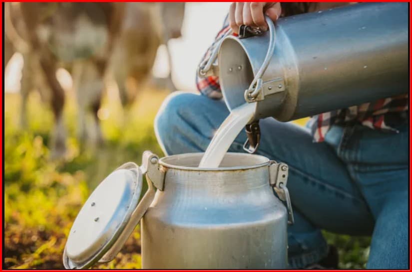 Qumështi i pasterizuar po bëhet gjithnjë e më popullor