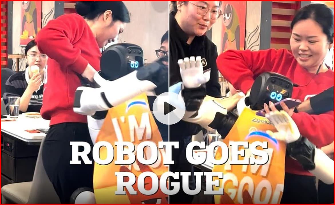 Robot shkakton kaos në një restorant në Kaliforni