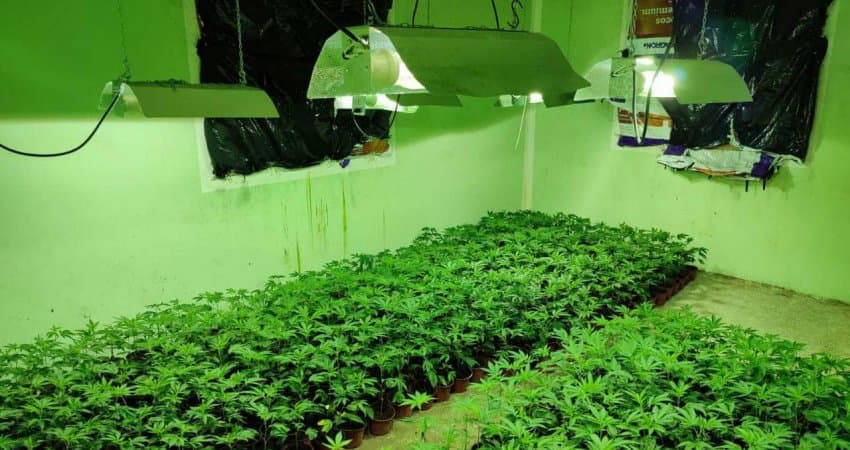 Laboratori i drogës që u zbulua sot në një fshat të Pejës ishte i kyçur ilegalisht në rrjetin elektrik, KEDS në vendngjarje