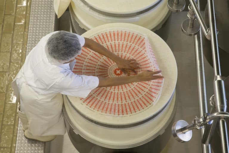 Zvicër: Djathari akuzohet për vjedhje tonash djathi