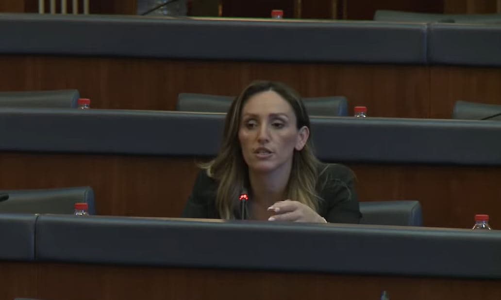 Bytyqi kundër Projektligjit për shtetësinë: Nuk u shqyrtua si duhet, procedurë e përshpejtuar dhe e parregullt