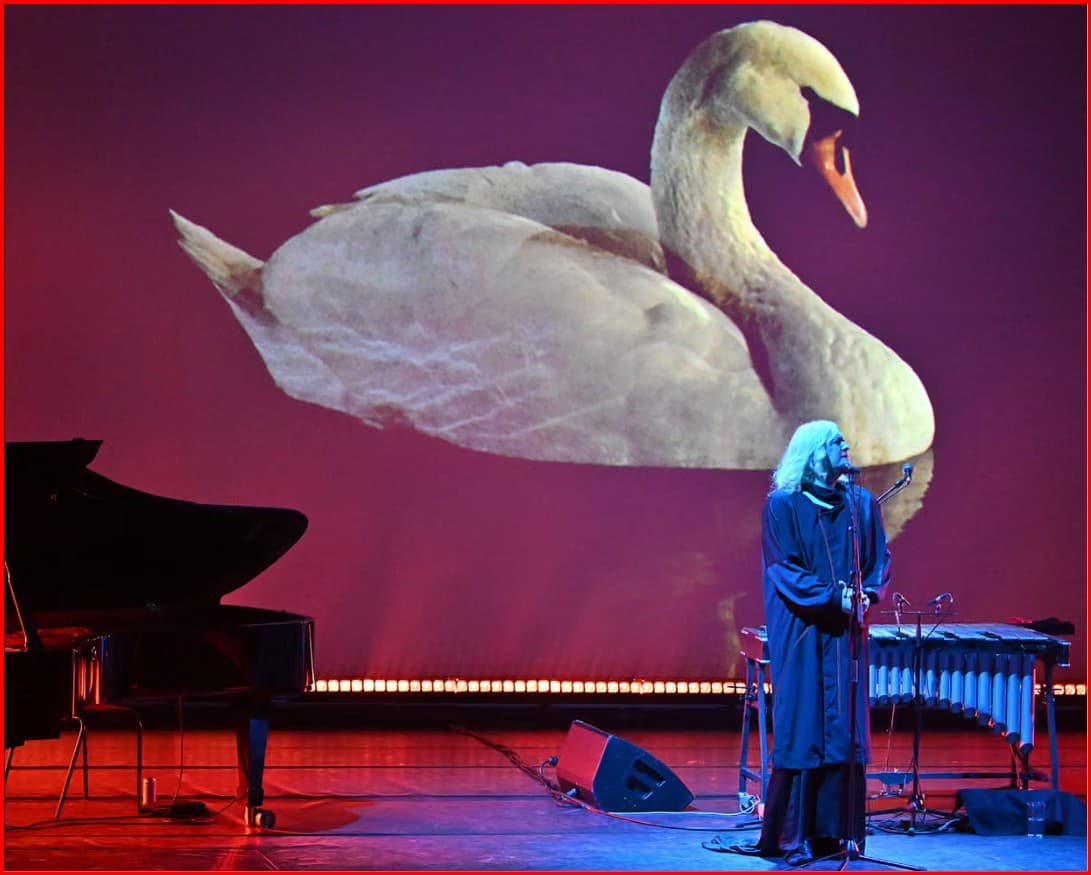 Anohni magjeps me interpretim unik live