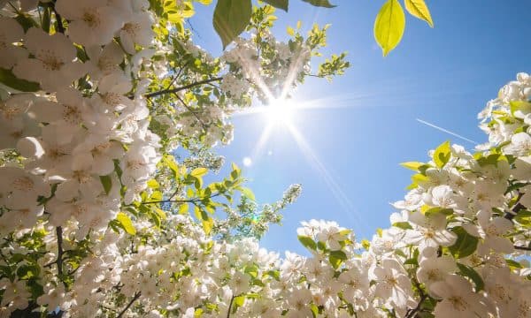 Rritje e lehtë e temperaturave – Ky do të jetë moti për ditën e nesërme
