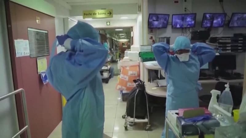 OBSh: Presim më shumë raste të hantavirusit