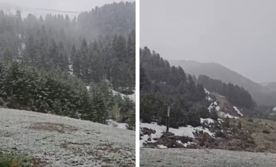 Bora zbardh Brezovicën, pamje