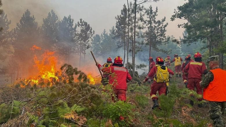 Deri në 30 vite burgim për zjarrvënësit e qëllimshëm, Shqipëria me masa për sezonin veror në parandalim të zjarreve