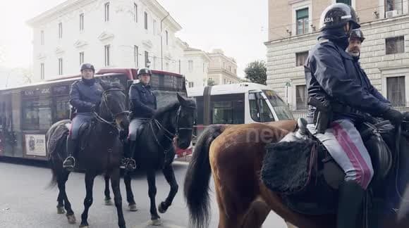 Kaos në Romë, dhjetëra kuaj ushtarakë dalin jashtë kontrollit, pesë të plagosur