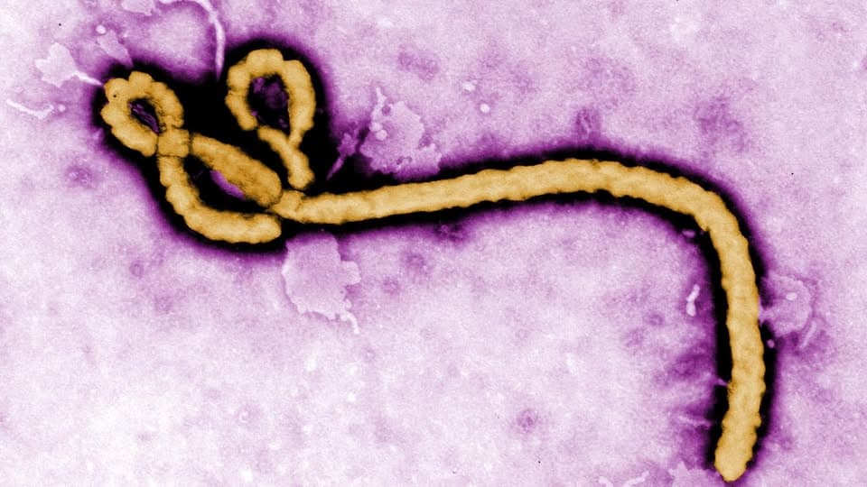 IKSHPK: Rreziku nga Ebola në Kosovë mbetet shumë i ulët, publikohen rekomandimet për udhëtarët