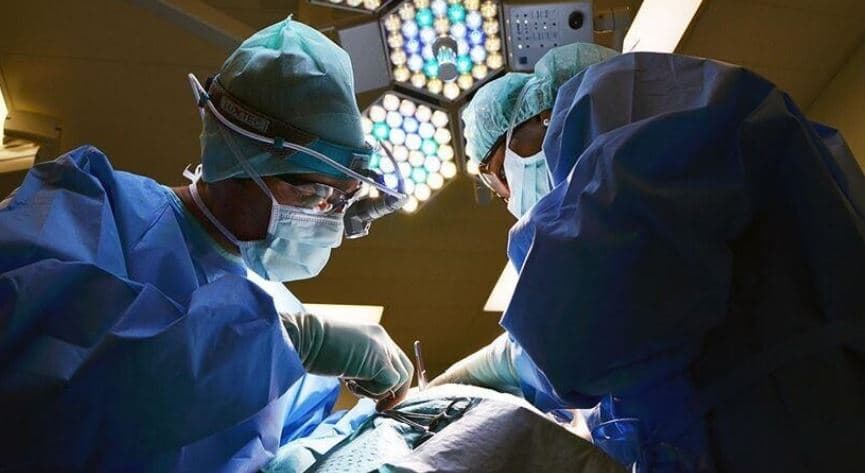 Kina kryen transplantin e parë në botë të mëlçisë dhe veshkave të derrit te një pacient