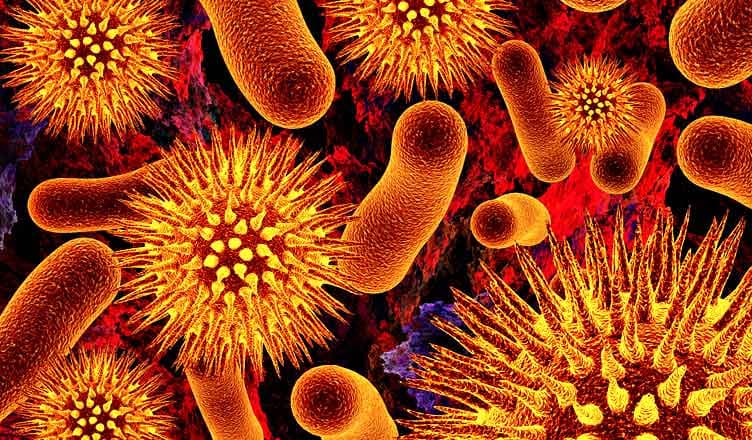 Mbi 4,100 të infektuar nga shpërthimi i parazitit Ciklospora në ShBA