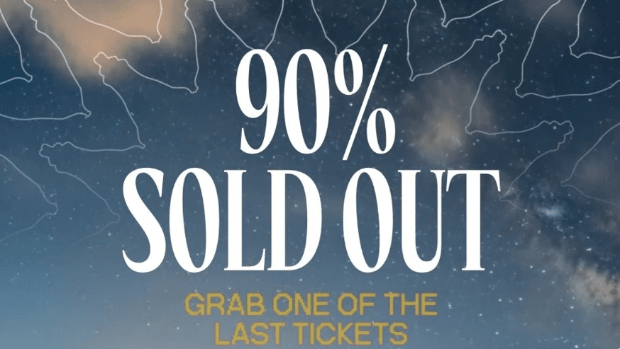 Festivali ‘Sunny Hill’ drejt “sold out”, 90 për qind e biletave tashmë janë shitur