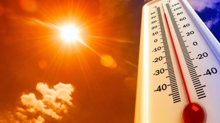 Featured image for Temperaturat e larta rrisin rrezikun e sëmundjeve infektive në Evropë